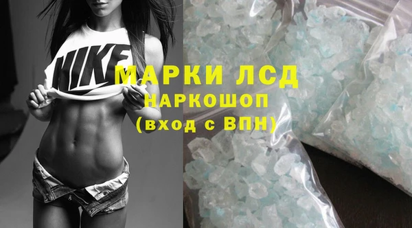 гидра Белокуриха