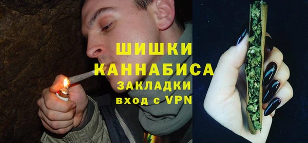 гидра Белокуриха