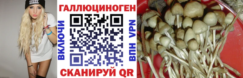 Купить  Лениногорск  Галлюциногенные грибы ЛСД 